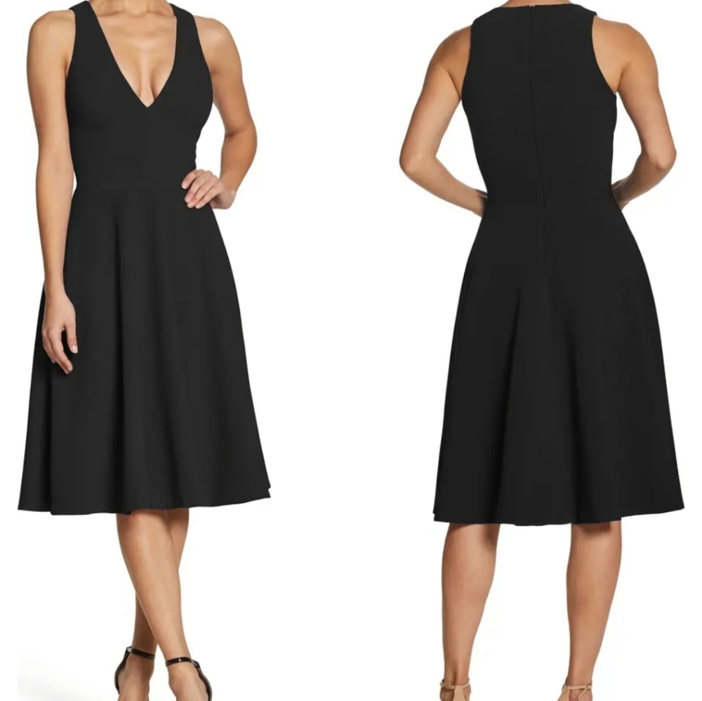 Dress the Population fit and flare dress
